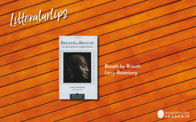 Breath by Breath , Larry Rosenberg