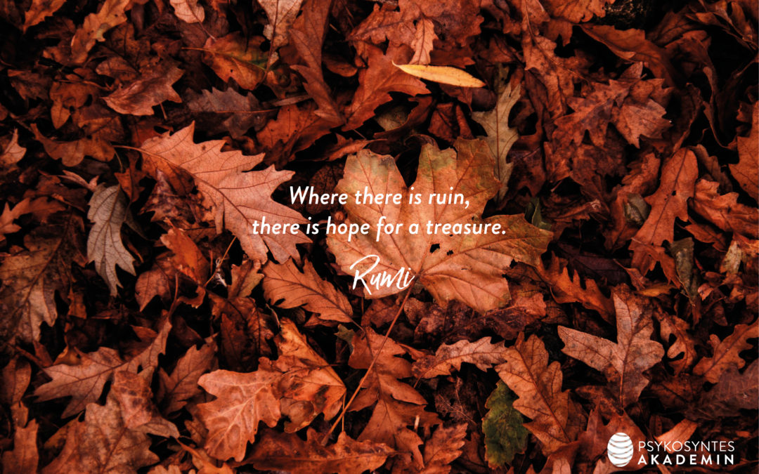 Where there is ruin, there is hope for a treasure.