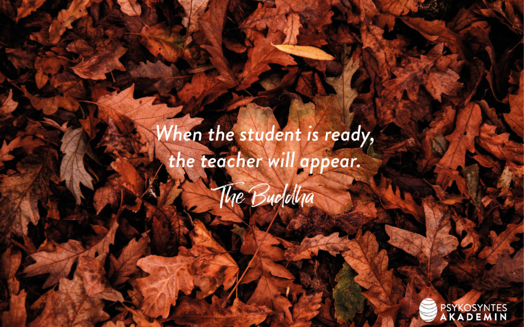 When the student is ready, the teacher will appear. The Buddha