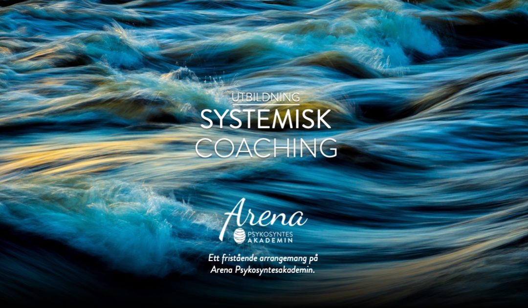 Utbildning i Systemisk Coaching